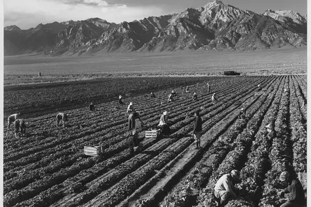 Workers labor in the fields in the shadow of Mt. Williamson.