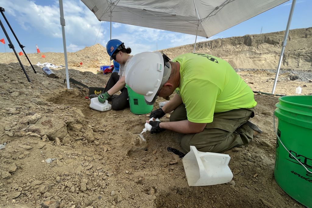 Paleontologists working at dig site in North Dakota
