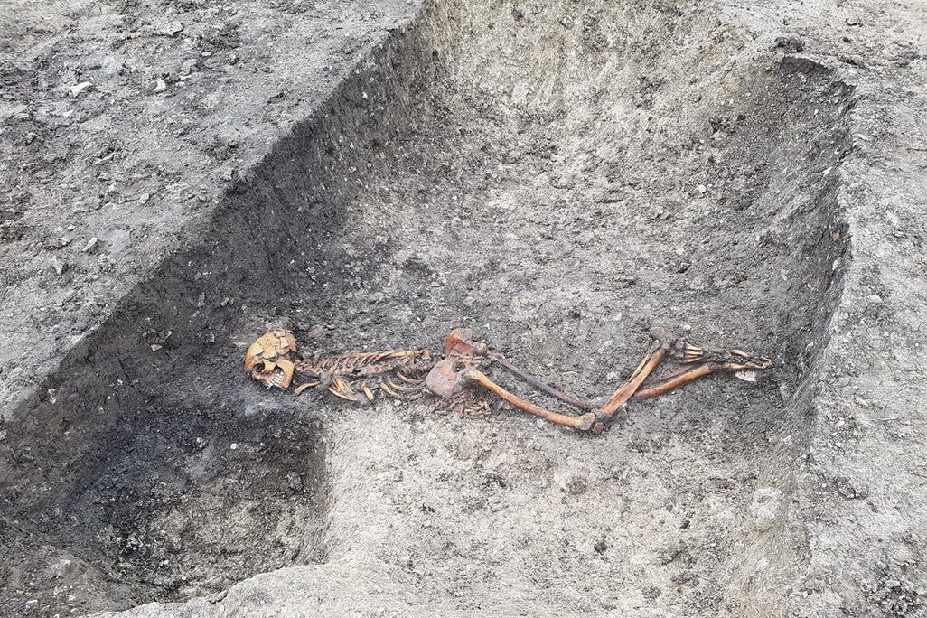 Skeleton