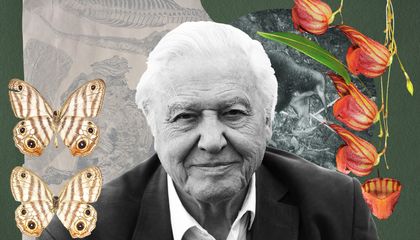 David Attenborough Has Inspired Countless Scientists. To Mark His 100th Birthday, Here Are Ten Living Things Theyve Named After Him