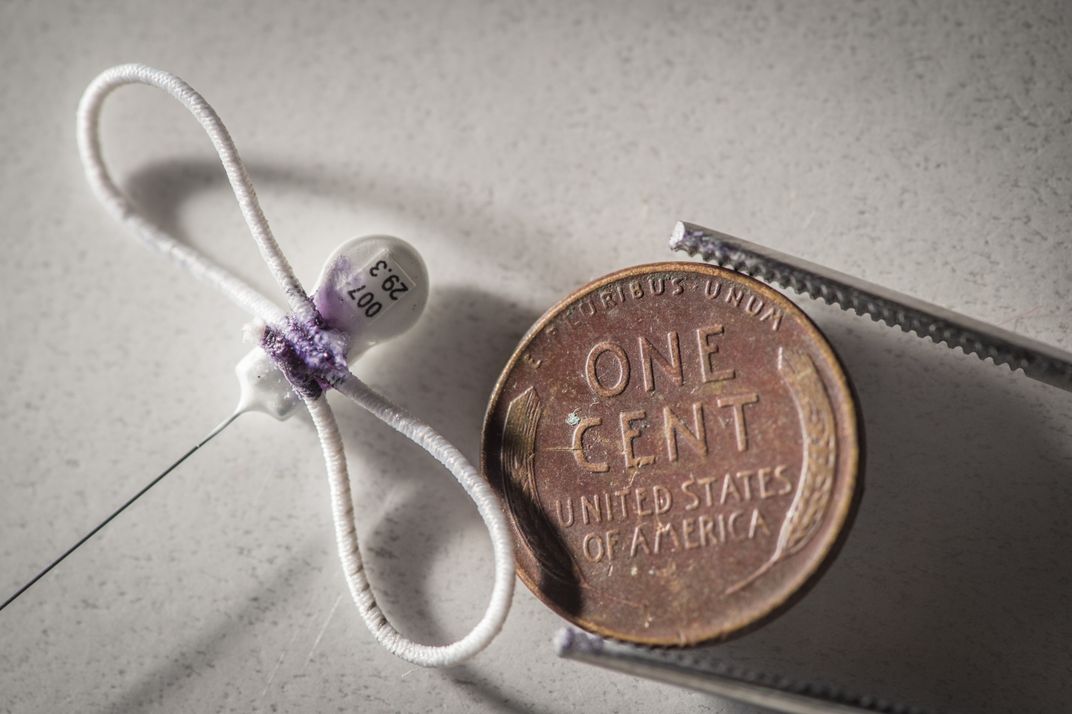 The tracking device, which has two looped wires and a tiny tracking mechanism, is smaller than the penny it's shown next to