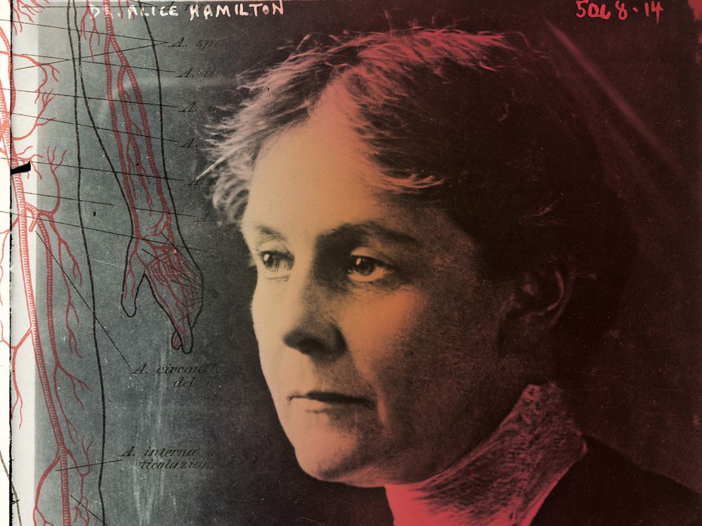 a portrait of Alice Hamilton