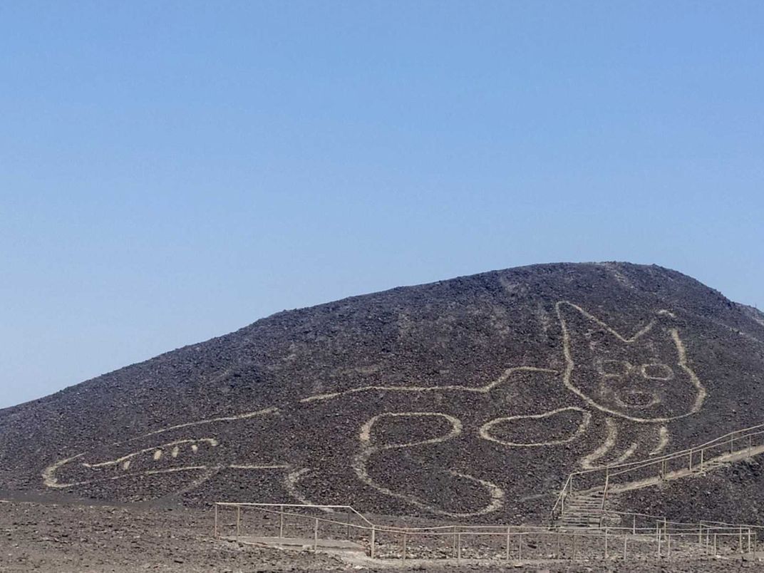 Nazca Line Depicting Cat 