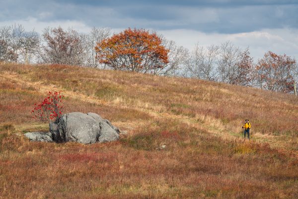 A Late Autumn Hike thumbnail