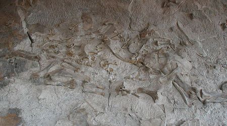 A view of the Dinosaur National Monument quarry before it closed for renovations in 2006