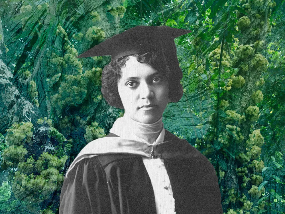 Illustration of Alice Ball in front of a grove of chaulmoogra trees