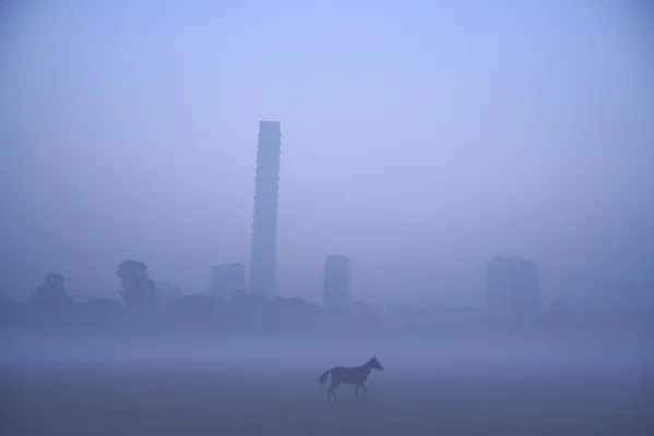 The mystic skyline thumbnail