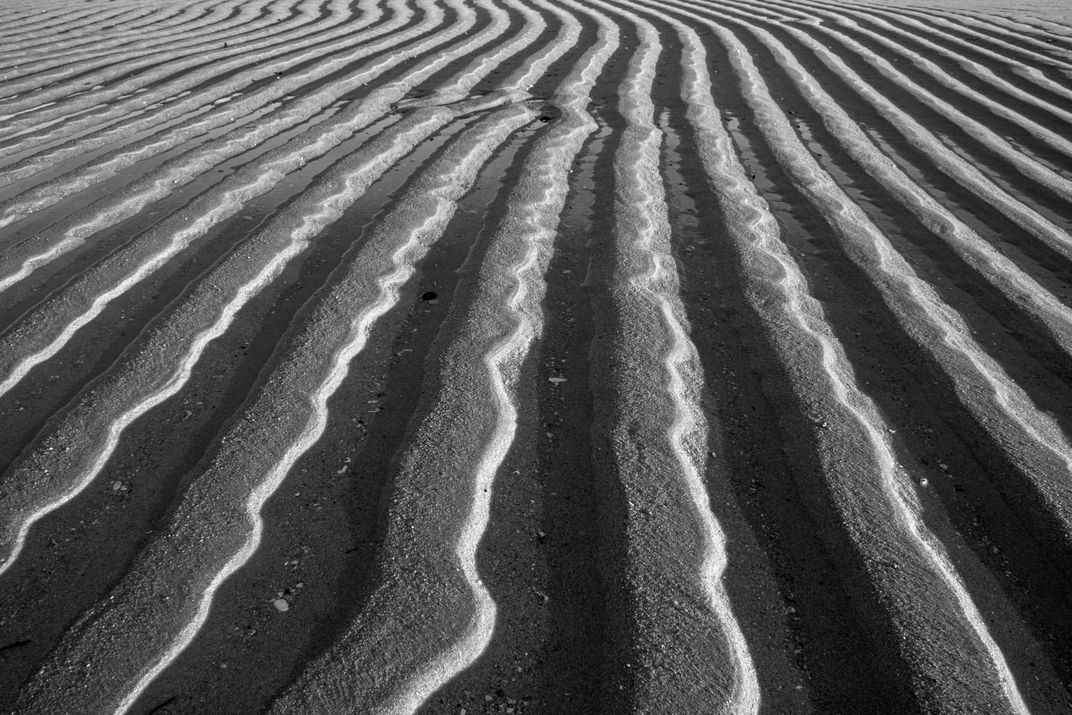 Nature of Sand Lines | Smithsonian Photo Contest | Smithsonian Magazine
