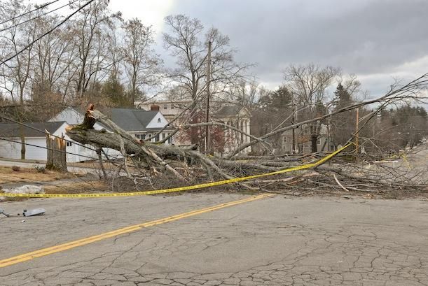 Climate change could mean more frequent wind storms, increasing the level of risk taken on by insurance firms.