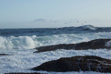 As the ocean continues to warm, scientists look to the past for answers on how to manage today’s environmental problems. 