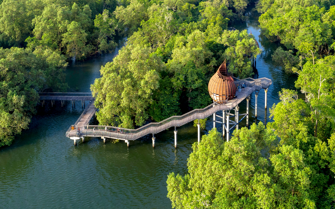 Discover the Multicultural Melting Pot of Singapore Up Close