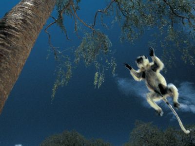 lemurs631.jpg
