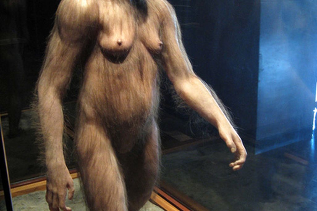 A reconstruction of Lucy