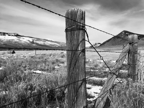 Barbed Wire Fence - Allen Ranch thumbnail