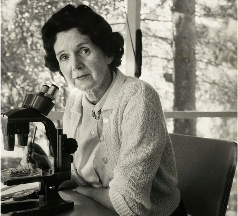 Rachel Carson Wrote Silent Spring (Partly) Because of the Author of Stuart  Little | Smart News| Smithsonian Magazine