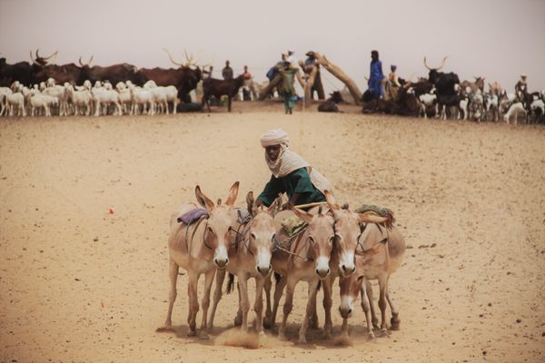 Searching for Water, Niger. thumbnail