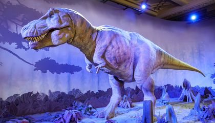 Tyrannosaurus Rex and Other Terrifying Predatory Dinosaurs Had Itty-Bitty Arms. Scientists May Have Finally Figured Out Why
