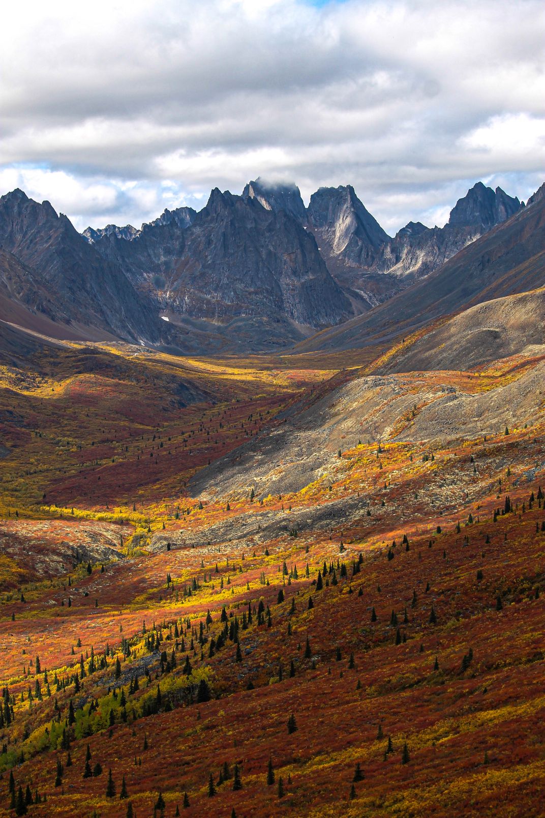 Tombstone in the Fall | Smithsonian Photo Contest | Smithsonian Magazine