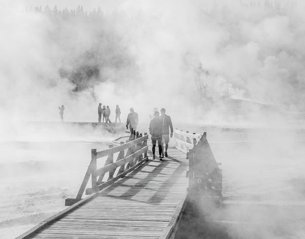 People walking along trails through the Norris Geyser Basin, Yellowstone Ntl Park. thumbnail