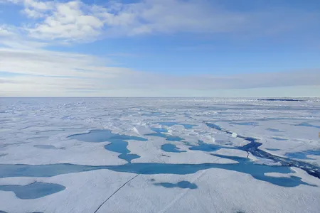 Arctic sea ice is melting at an unprecedented rate.