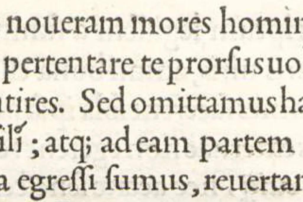 words on a page with one semicolon used toward the bottom left