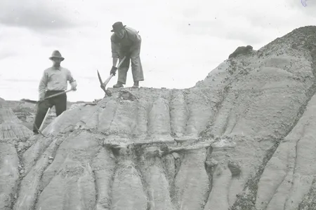 Using heavy picks, Smithsonian researchers in 1923 worked on excavations in Dinosaur National Monument on the border of Colorado and Utah.