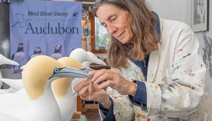 How 'Seabird Sue' Blends Art and Science to Attract Birds Back to Lost Habitat