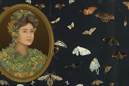 An author of blockbuster books and a pioneering photographer, she braved the wilderness to collect these moths and butterflies.