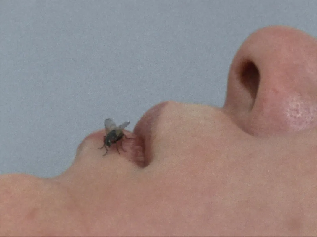 A 16mm film still from Yoko Ono's Fly, 1970–71.