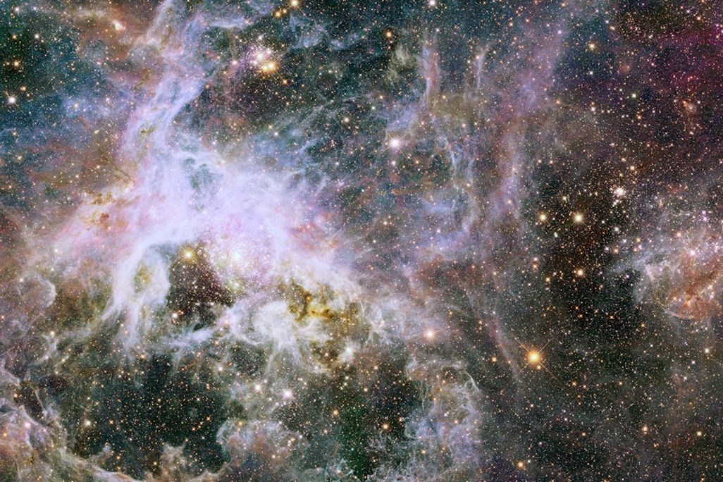 tarantula nebula