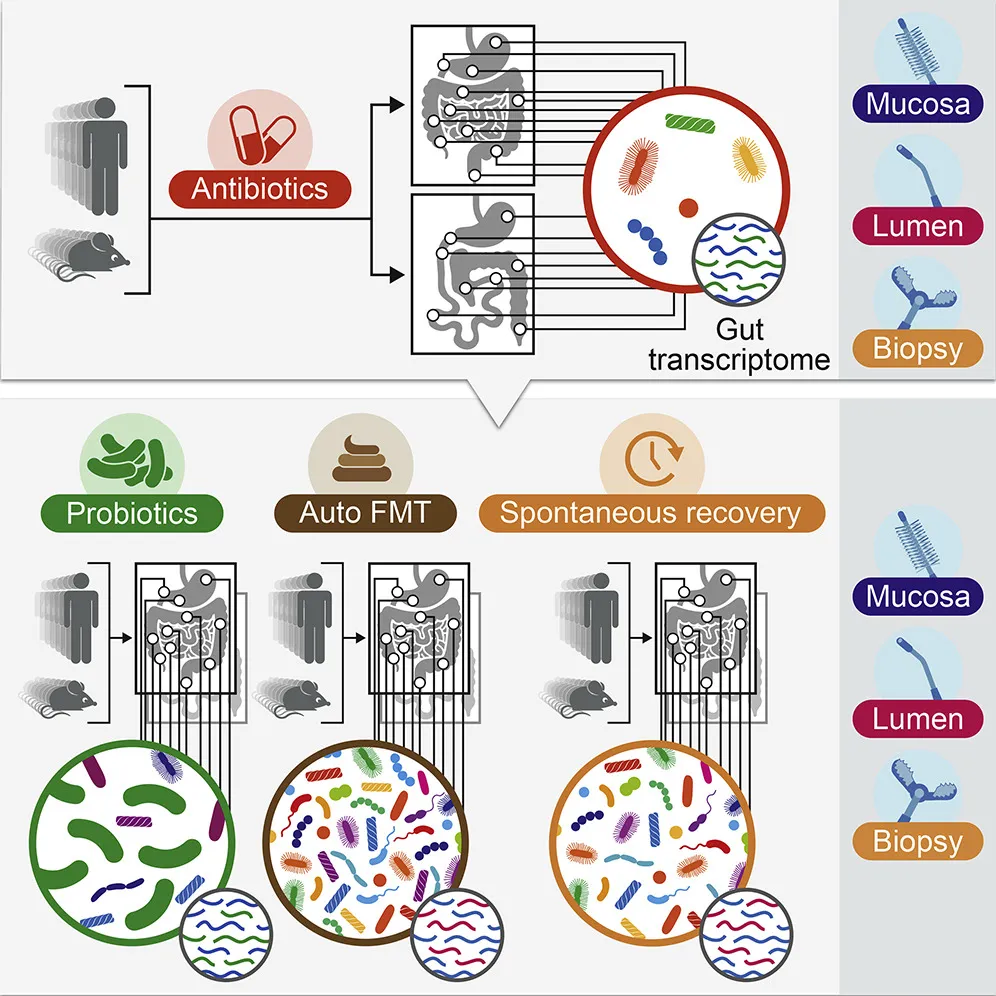 Microbiome 2