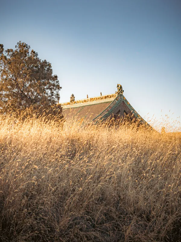 Shuanglin Temple Roof above Winter Reeds thumbnail