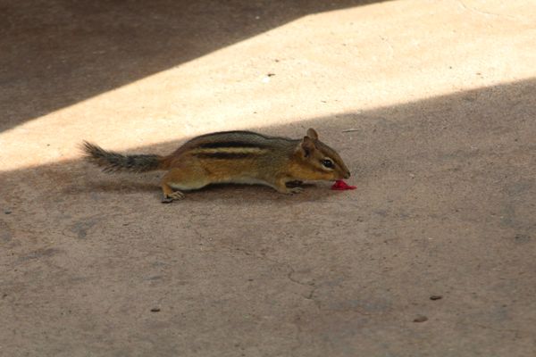 I found something thumbnail