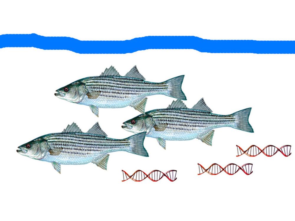 similarities between terrestrial and aquatic animals clipart