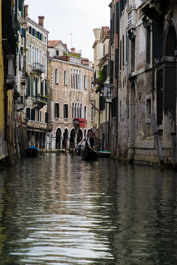 Gondolas in Venice thumbnail
