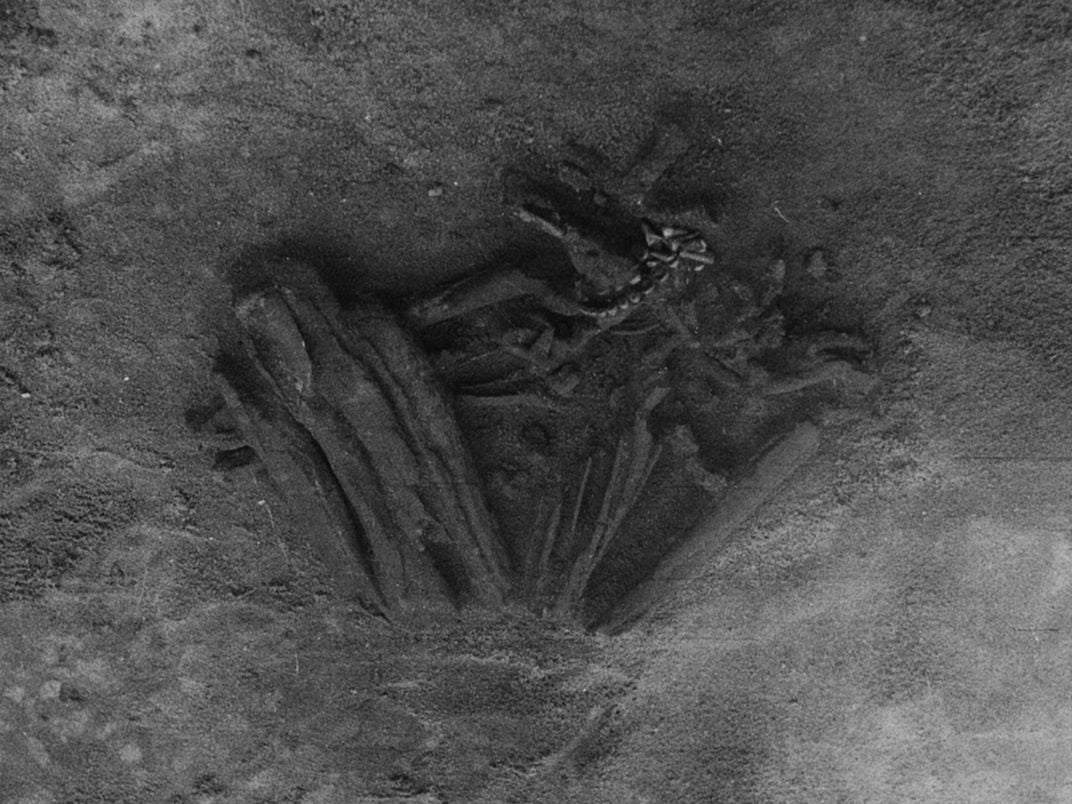 black and white image of skeletal remains bound into a fetal position in sediment at dig site
