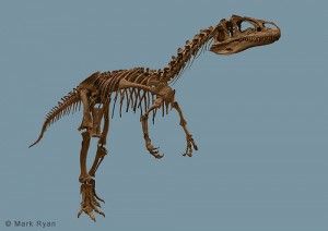 20110520083136big-al-allosaurus-laramie-300x212.jpg