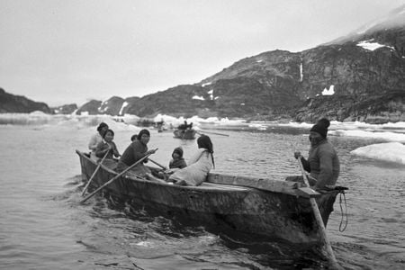 Modern-day Canadian Inuit pictured in their traditional boats (umiak), used for hunting and 
transportation.