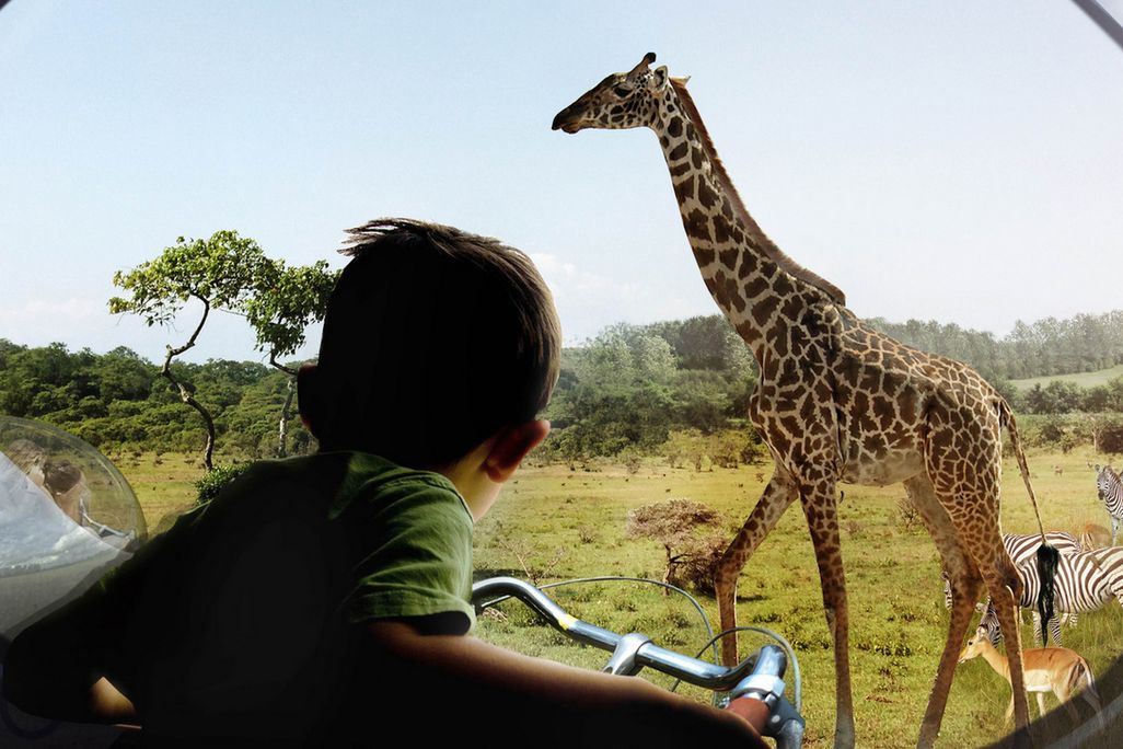 08_13_2014_zoo.jpg
