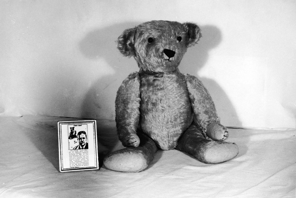 Teddy bear