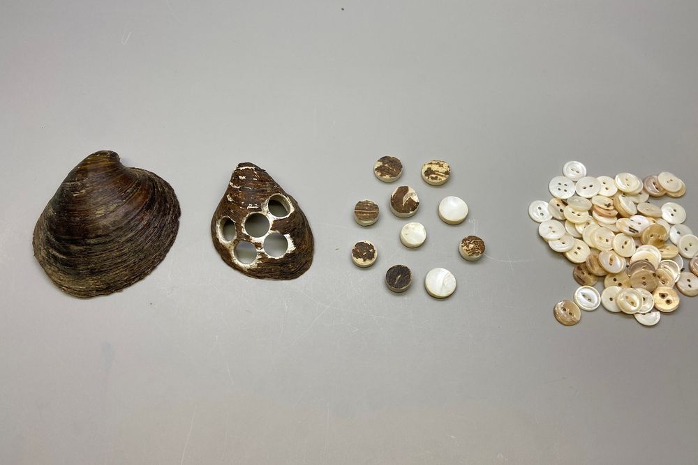 Ebonyshell to buttons
