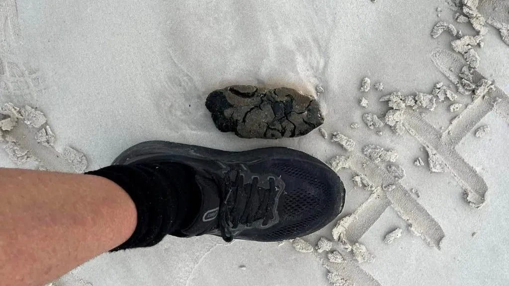 A person's foot on the beach next to a large turd