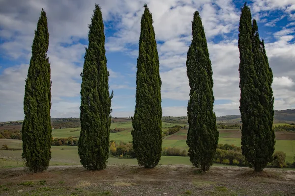 Tuscan landscape 04 thumbnail