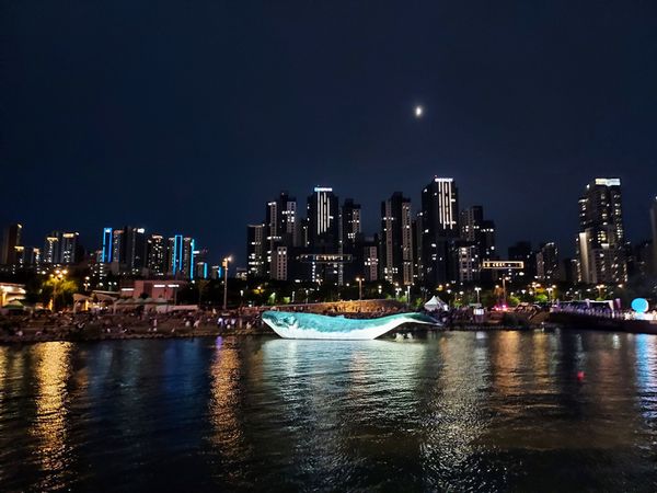 Whale on the Han River thumbnail