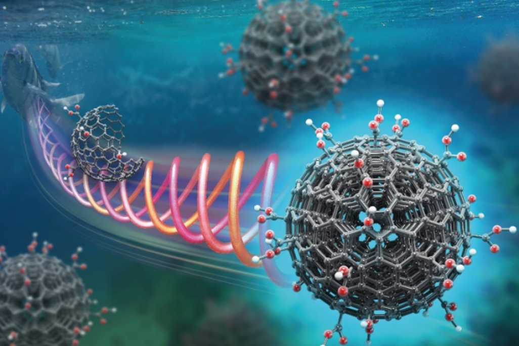 Graphic of carbon nano-onions