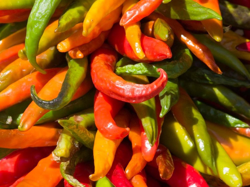 Chile Peppers