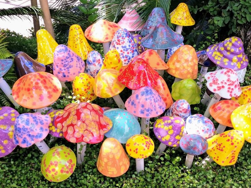 Glass mushrooms in the garden at HighHand Nursery Smithsonian Photo