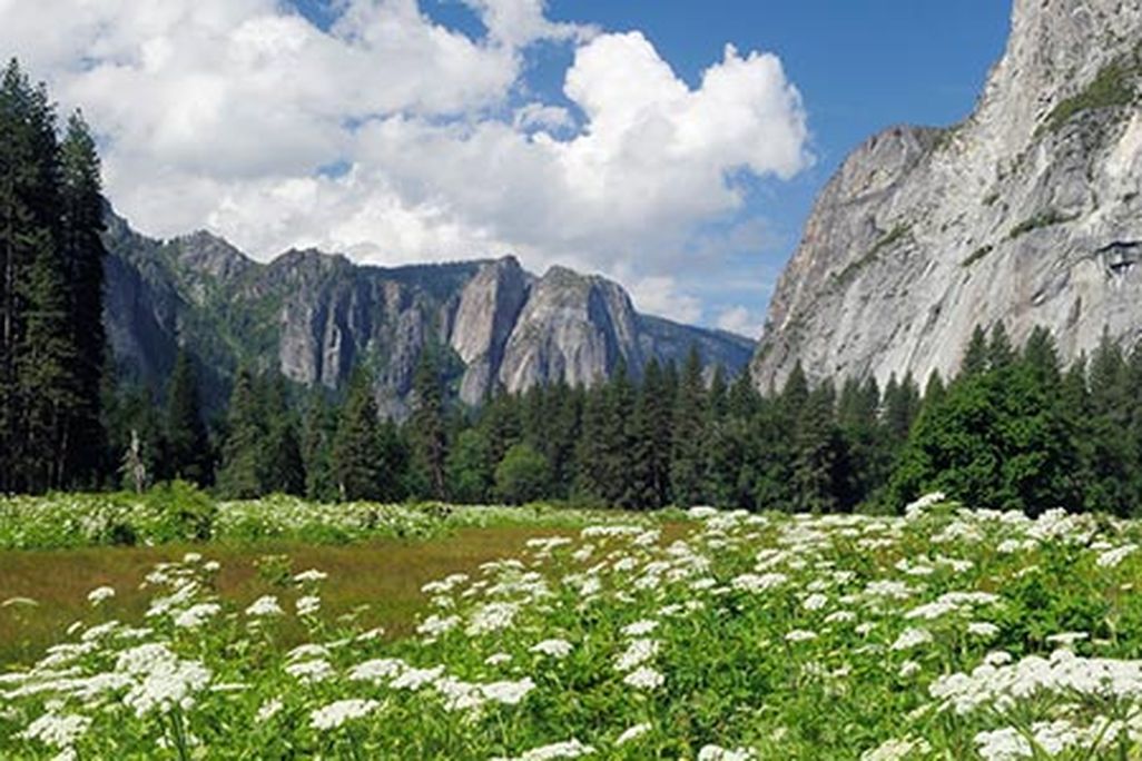 Yosemite Valley