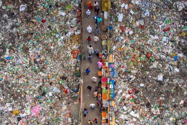 Surviving in the Trash thumbnail