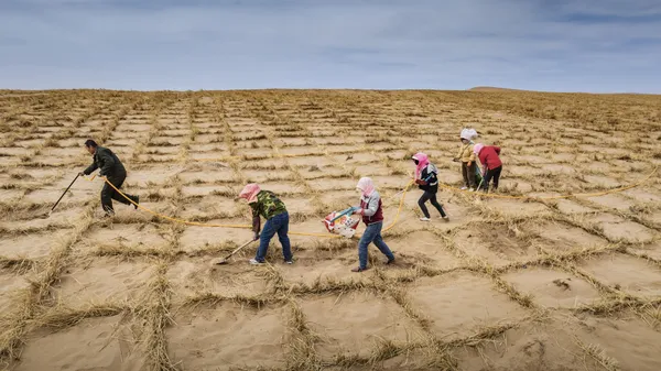 Sand control workers thumbnail